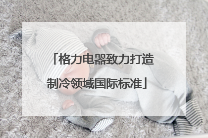 格力电器致力打造制冷领域国际标准