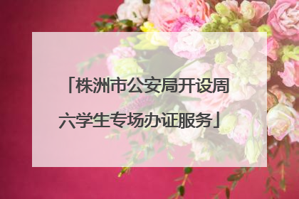 株洲市公安局开设周六学生专场办证服务