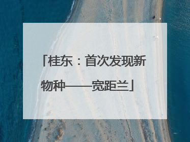 桂东：首次发现新物种——宽距兰