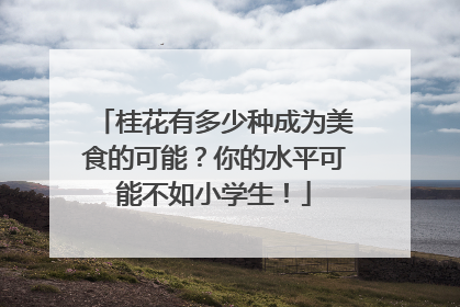 桂花有多少种成为美食的可能？你的水平可能不如小学生！