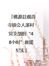 桃源县观音寺镇会人溪村党支部的“48小时”救援纪实