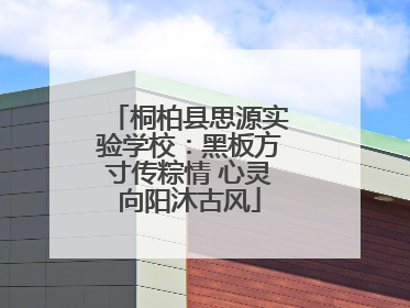 桐柏县思源实验学校：黑板方寸传粽情 心灵向阳沐古风