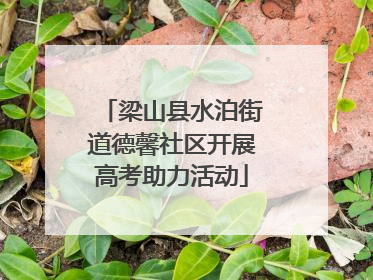 梁山县水泊街道德馨社区开展高考助力活动