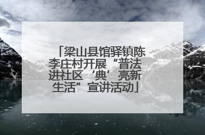梁山县馆驿镇陈李庄村开展“普法进社区‘典’亮新生活”宣讲活动