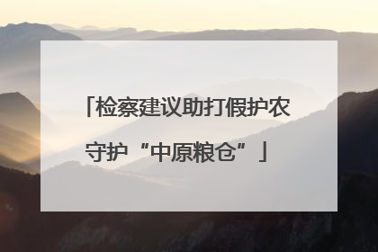 检察建议助打假护农守护“中原粮仓”