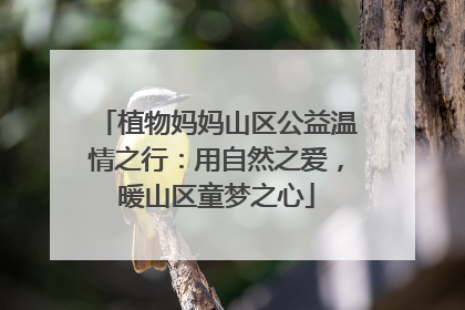 植物妈妈山区公益温情之行：用自然之爱，暖山区童梦之心