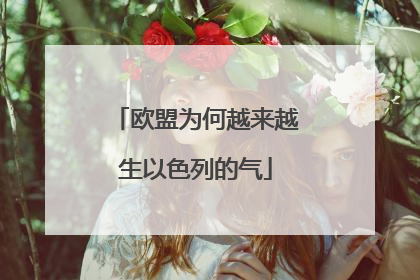 欧盟为何越来越生以色列的气