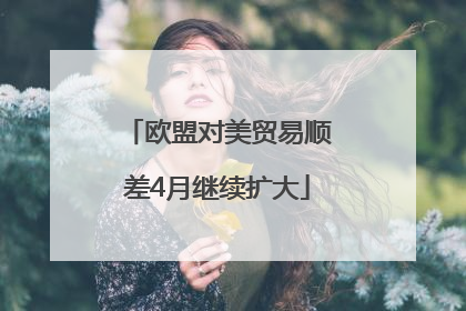 欧盟对美贸易顺差4月继续扩大