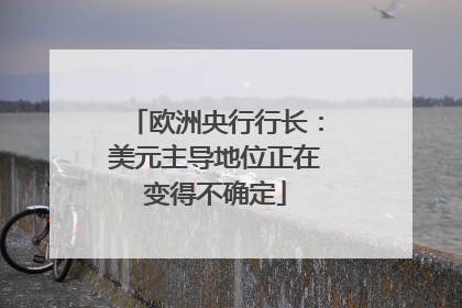 欧洲央行行长：美元主导地位正在变得不确定