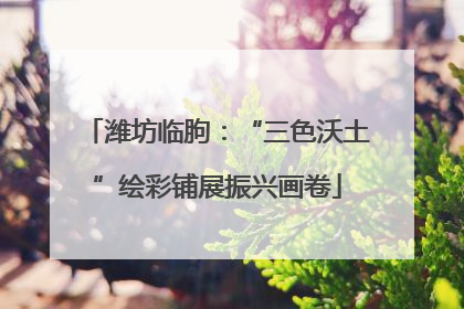 潍坊临朐：“三色沃土”绘彩铺展振兴画卷