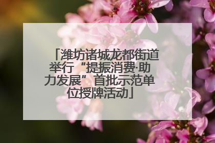 潍坊诸城龙都街道举行“提振消费·助力发展”首批示范单位授牌活动