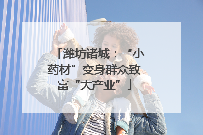 潍坊诸城：“小药材”变身群众致富“大产业”