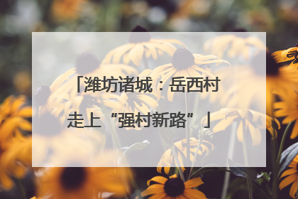 潍坊诸城：岳西村走上“强村新路”