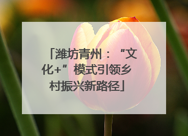 潍坊青州：“文化+”模式引领乡村振兴新路径