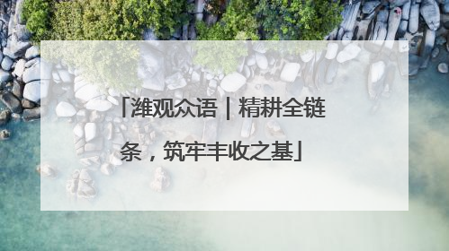潍观众语｜精耕全链条，筑牢丰收之基