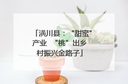 潢川县：“甜蜜”产业  “桃”出乡村振兴金路子
