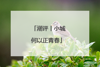 潮评丨小城何以正青春