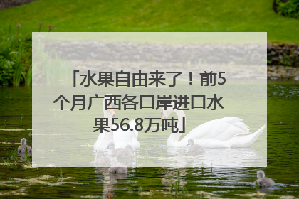 水果自由来了！前5个月广西各口岸进口水果56.8万吨