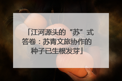 江河源头的“苏”式答卷：苏青文旅协作的种子已生根发芽