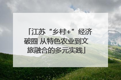 江苏“乡村+”经济破圈 从特色农业到文旅融合的多元实践
