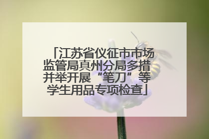 江苏省仪征市市场监管局真州分局多措并举开展“笔刀”等学生用品专项检查
