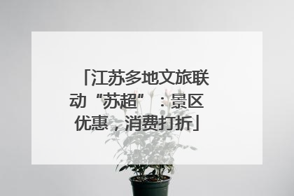 江苏多地文旅联动“苏超”：景区优惠，消费打折