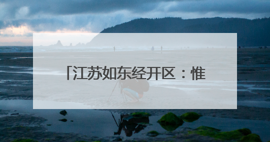 江苏如东经开区：惟“新”图强以“新”提质推进产业强区
