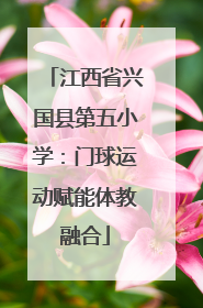 江西省兴国县第五小学：门球运动赋能体教融合