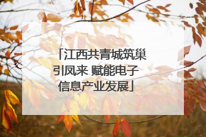 江西共青城筑巢引凤来 赋能电子信息产业发展