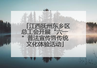 江西抚州东乡区总工会开展“六一”普法宣传暨传统文化体验活动