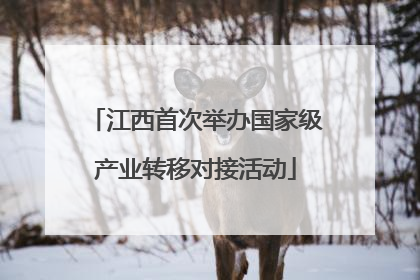 江西首次举办国家级产业转移对接活动
