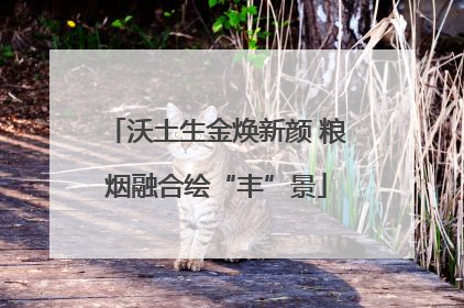沃土生金焕新颜 粮烟融合绘“丰”景