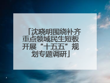 沈晓明围绕补齐重点领域民生短板开展“十五五”规划专题调研