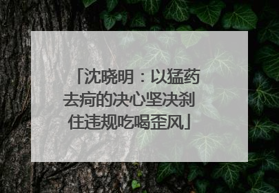 沈晓明：以猛药去疴的决心坚决刹住违规吃喝歪风