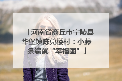 河南省商丘市宁陵县华堡镇陈兑楼村：小藤条编就“幸福图”