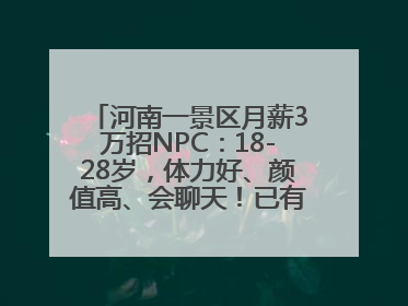 河南一景区月薪3万招NPC：18-28岁，体力好、颜值高、会聊天！已有1000多人应聘