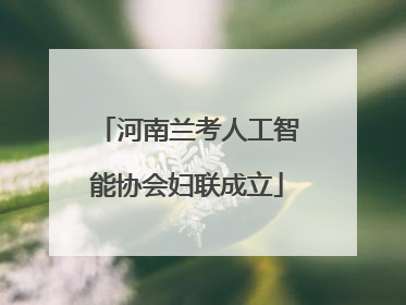河南兰考人工智能协会妇联成立