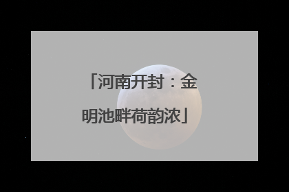 河南开封：金明池畔荷韵浓