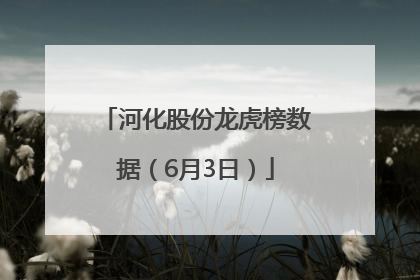 河化股份龙虎榜数据（6月3日）