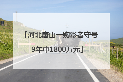 河北唐山一购彩者守号9年中1800万元