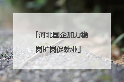 河北国企加力稳岗扩岗促就业