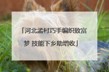 河北孟村巧手编织致富梦 技能下乡助增收