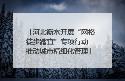 河北衡水开展“网格徒步踏查”专项行动 推动城市精细化管理