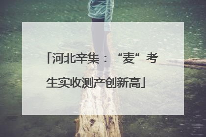 河北辛集：“麦”考生实收测产创新高