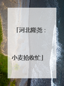 河北隆尧：小麦抢收忙