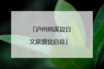 泸州纳溪夏日文旅盛宴启幕