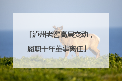 泸州老窖高层变动，履职十年董事离任