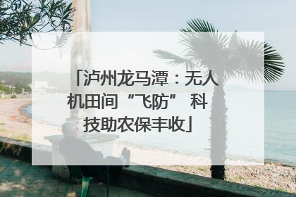 泸州龙马潭：无人机田间“飞防” 科技助农保丰收