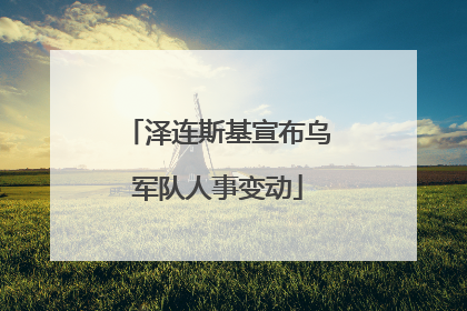 泽连斯基宣布乌军队人事变动
