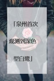 泉州首次观测到深色型白鹭